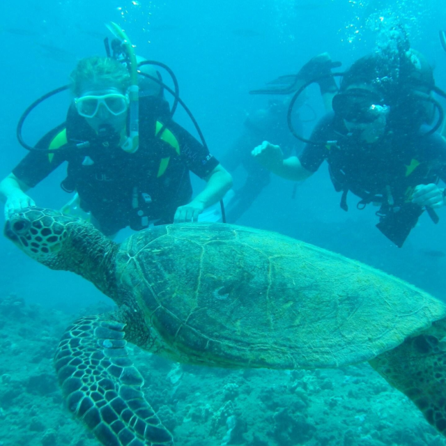 Dr. Ryhn diving with a sea turtle.